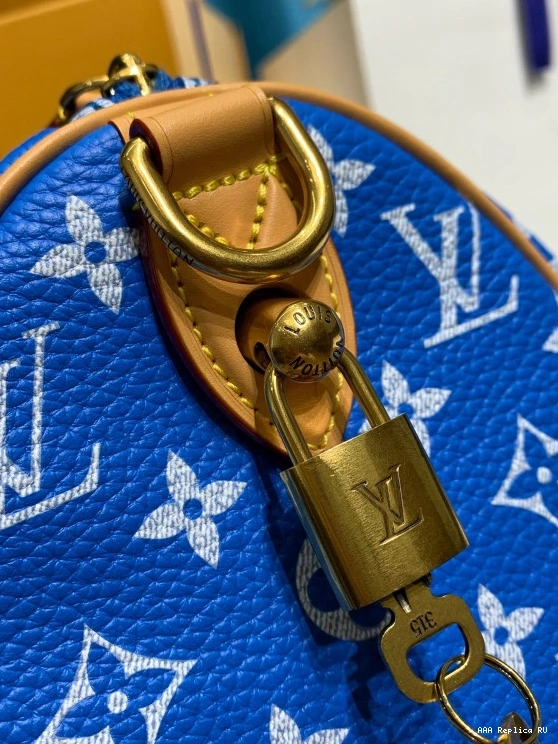 Aaa replica ru Louis Vuitton 25 SPEEDY 0812